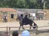 IMG-20260612-WA0002