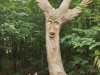 IMG-20260612-WA0003