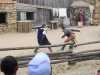 IMG-20260612-WA0004