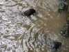 IMG-20260612-WA0012