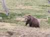 IMG-20260612-WA0013