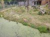 IMG_20260612_121826_copy_1000x750