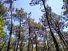 IMG-20210608-WA0007