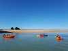IMG-20210609-WA0001