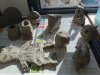 IMG_20260330_172722