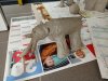 IMG_20260330_172745