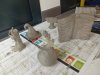IMG_20260330_172753