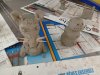 IMG_20260330_172755