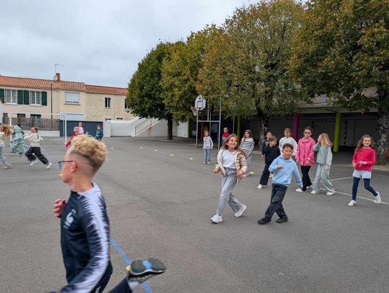 PXL_20261009_120636684.MP_