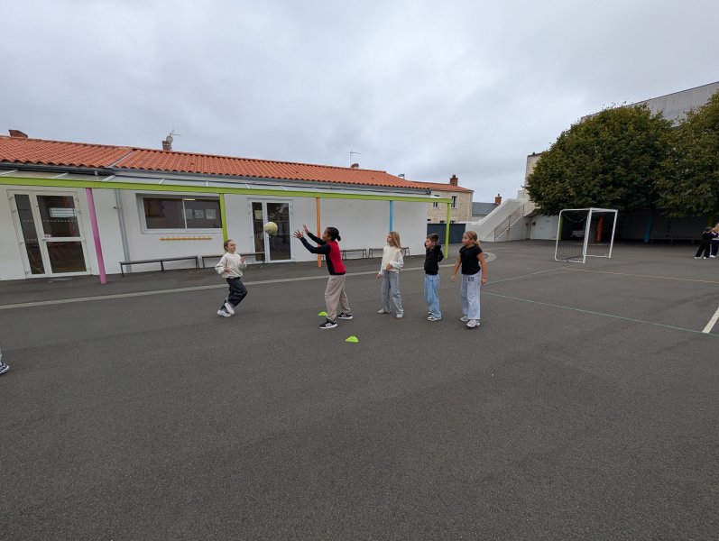 PXL_20261009_123241421.MP_