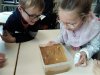 IMG_20230414_105636