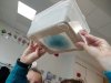 IMG_20230414_110928