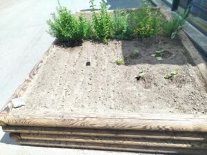 Le petit jardin des Grandes Sections